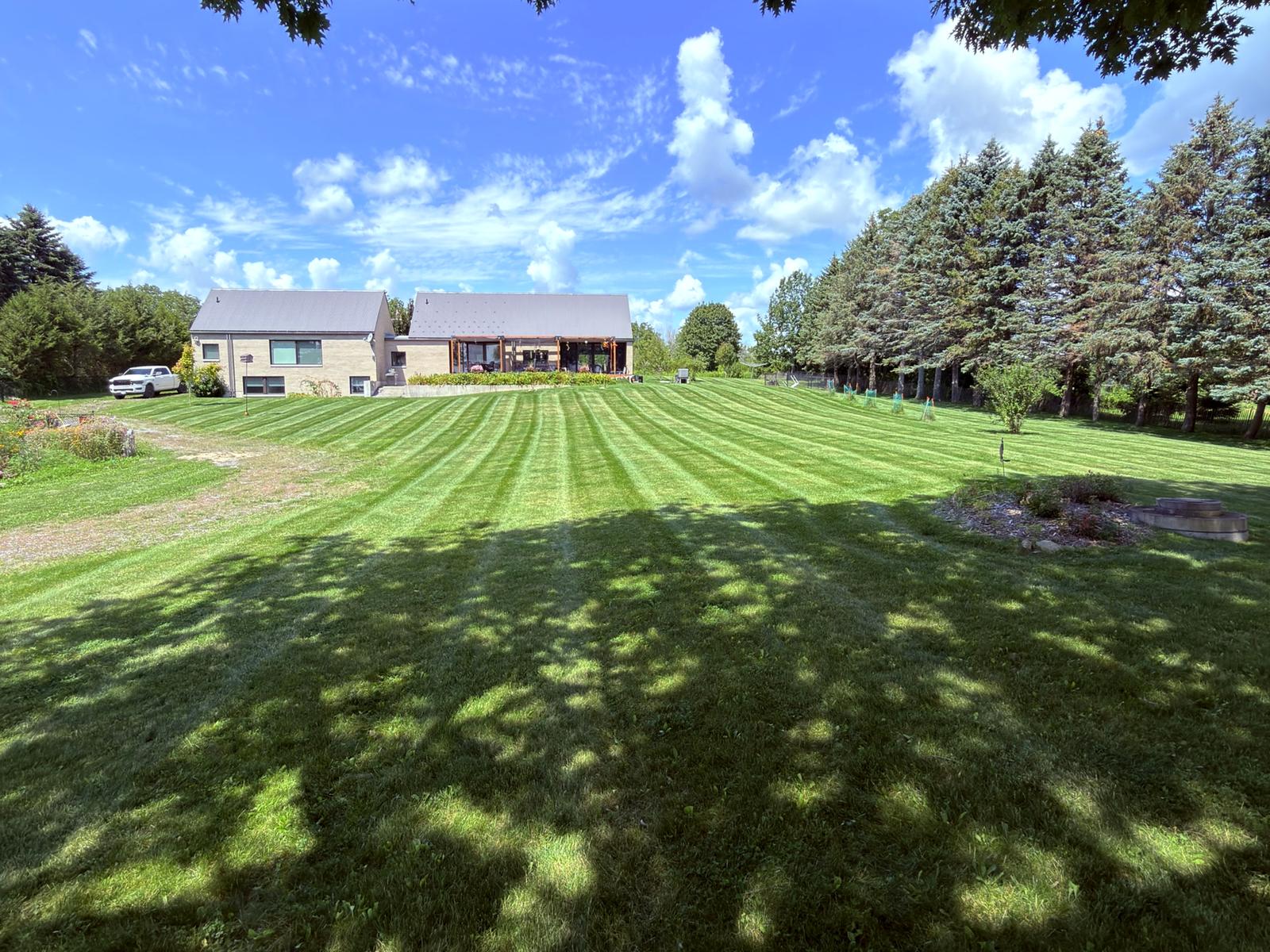 Freshly striped lawn at a country home, with a row of tall evergreens along the edge