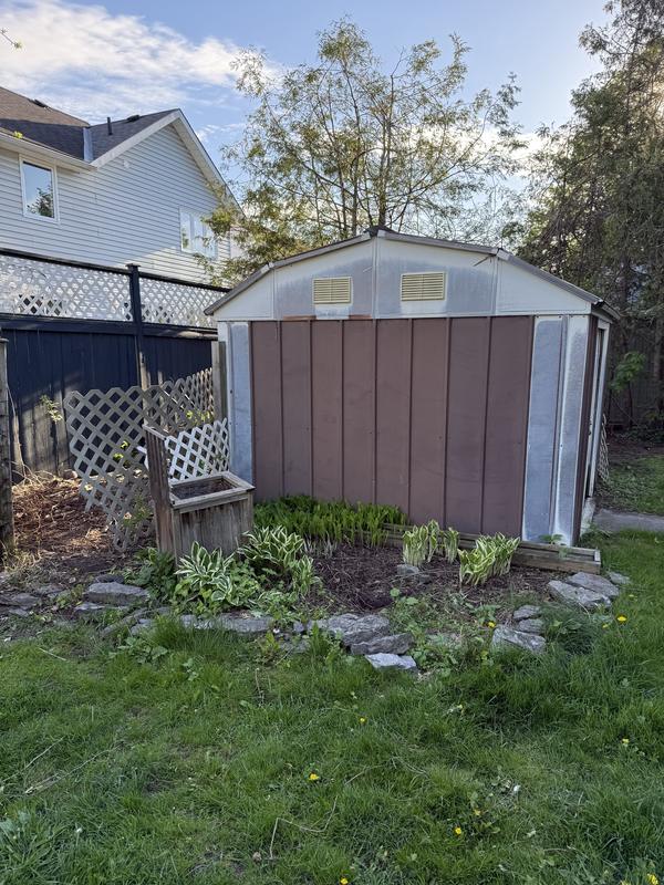 After: The shed with the brush gone and the garden bed cleaned up