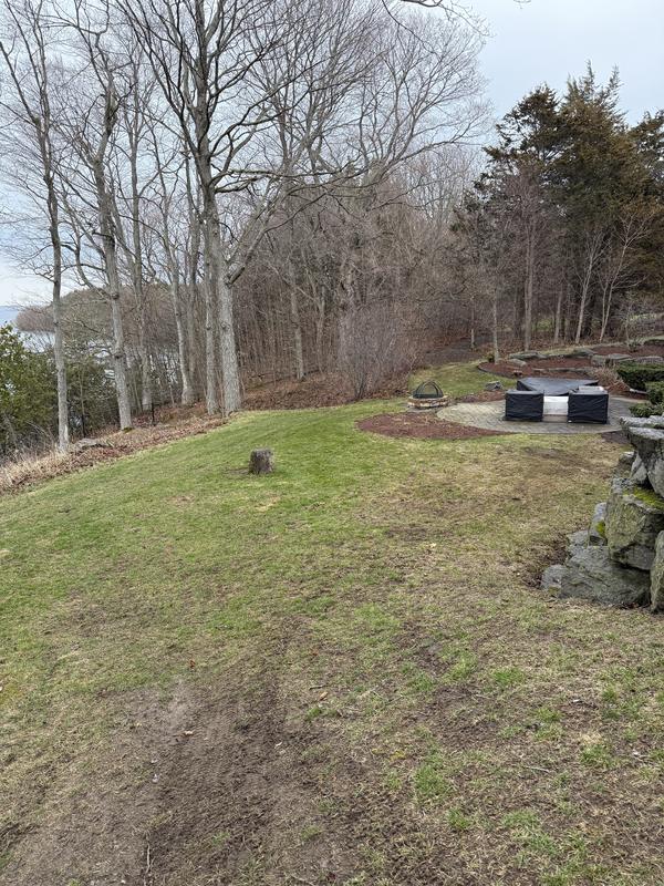 After: The same lawn cleared of leaves