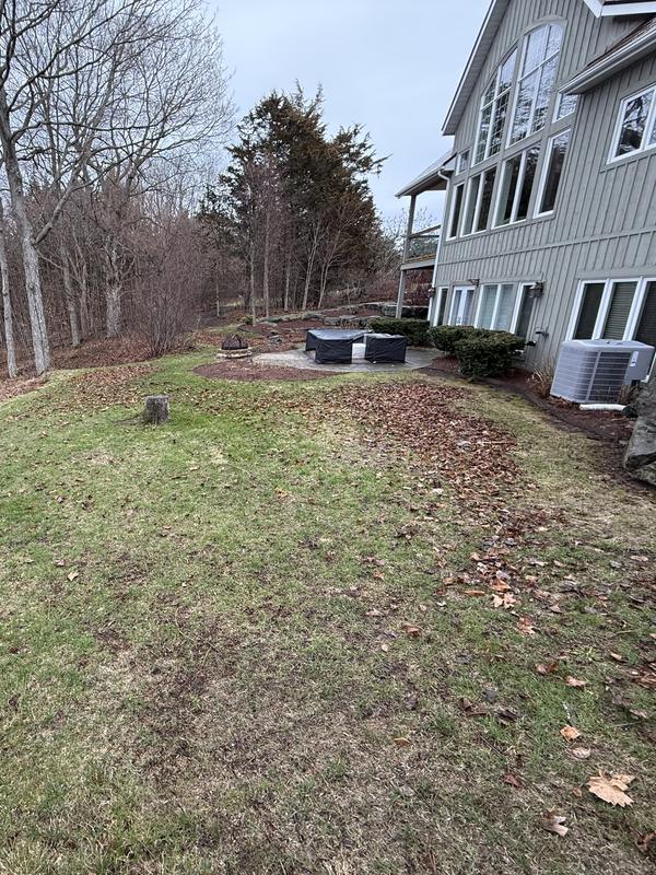 Before: Lawn beside a house with leaves piled along the edge and scattered across the grass