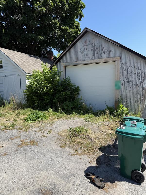 Before: Overgrown shrubs and weeds in front of a garage door