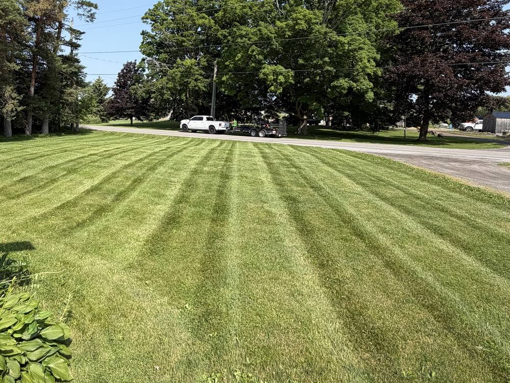 Freshly striped front lawn with the Matthews truck and trailer on the road