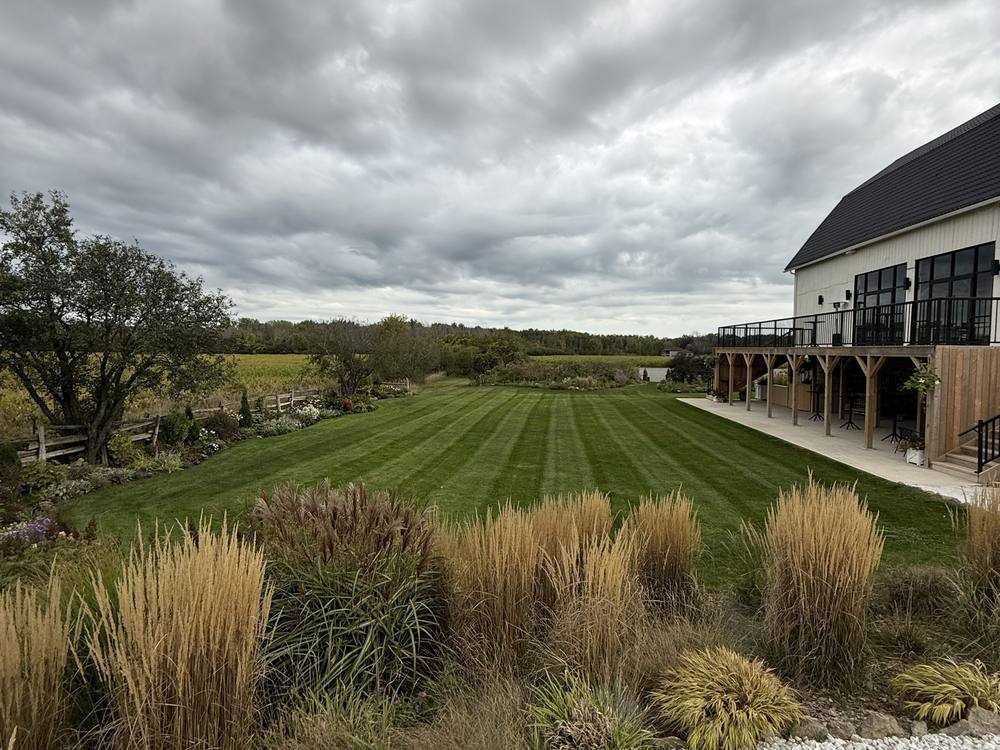 Striped lawn at a wedding venue beside the venue and its deck, with ornamental grasses in front