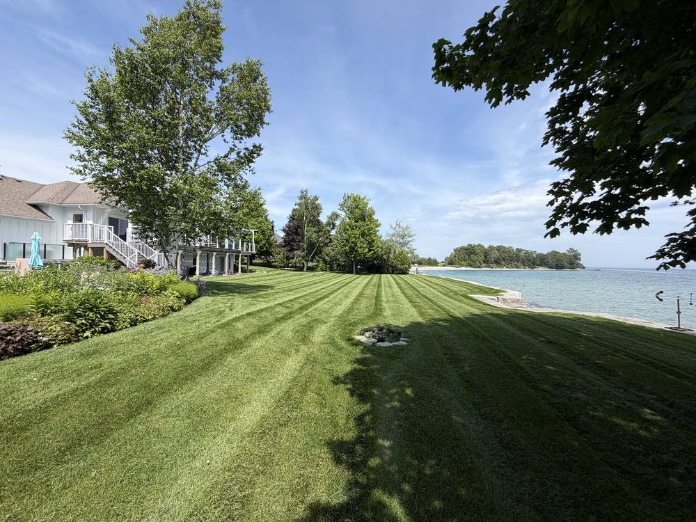 Thick, striped waterfront lawn beside a white house, with birch trees and the water beyond
