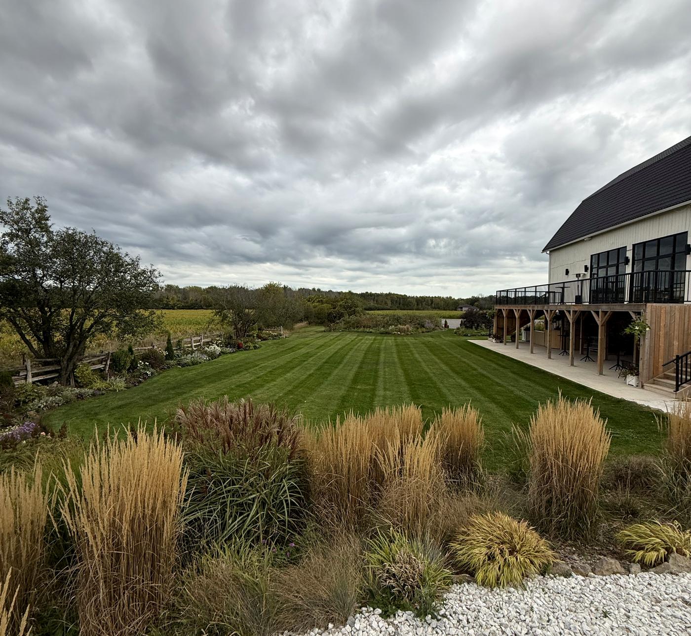 Striped lawn at The Brighthouse Farm, a Prince Edward County wedding venue, beside the venue and its deck, with ornamental grasses in front